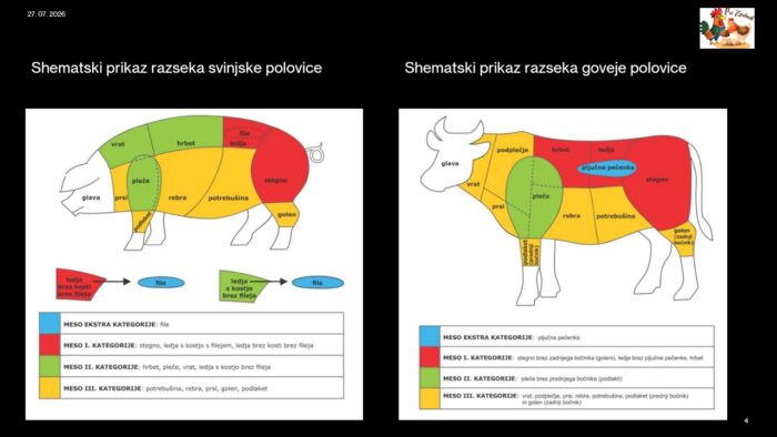Shematski prikaz razseka svinjske in goveje polovice